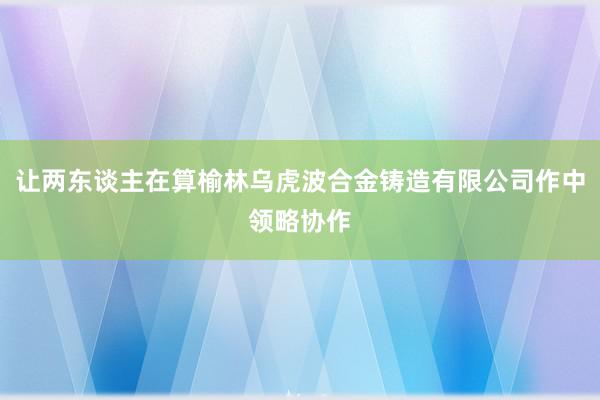 让两东谈主在算榆林乌虎波合金铸造有限公司作中领略协作